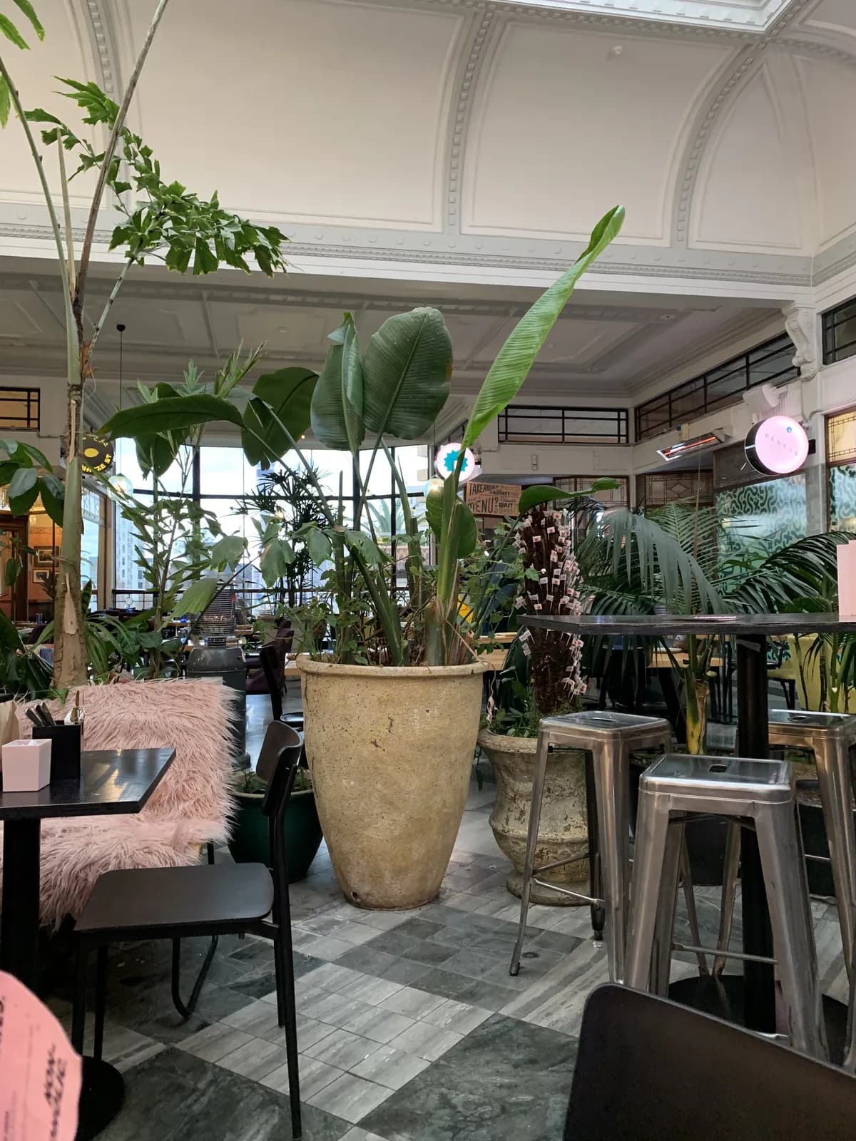 Tropical plants fill the light-flooded interior of a cafe inside St Kevin's Arcade