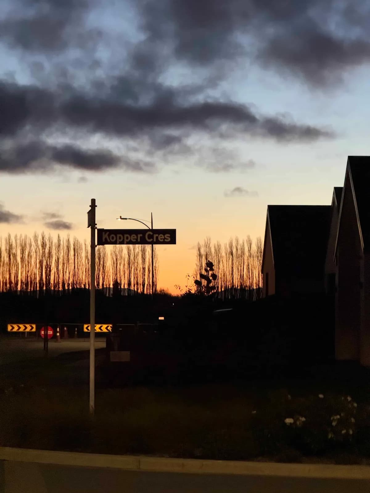 Surviving – or something about life